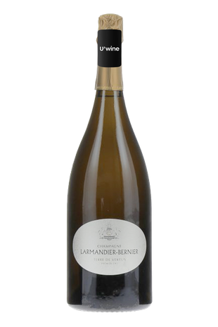 Champagne Larmandier-Bernier Terre De Vertus 2017