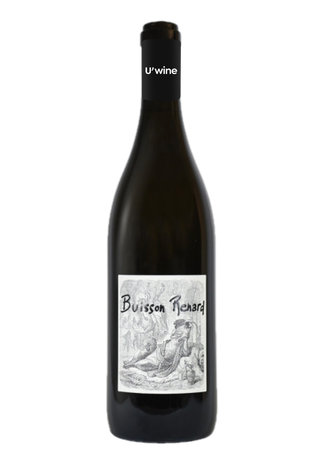 Domaine Didier Dagueneau Vin de France Buisson Renard - White 2019