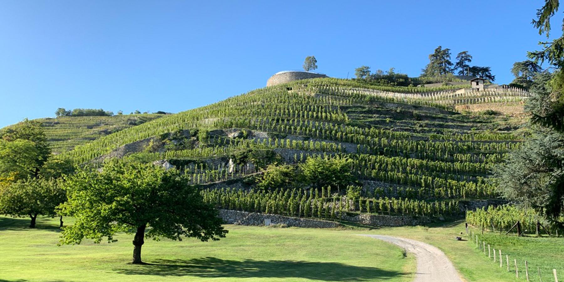 VIP U'Wine Tour