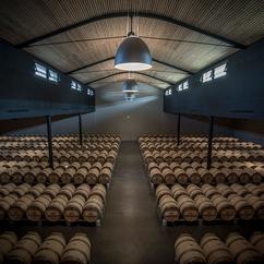 U'Wine Tour