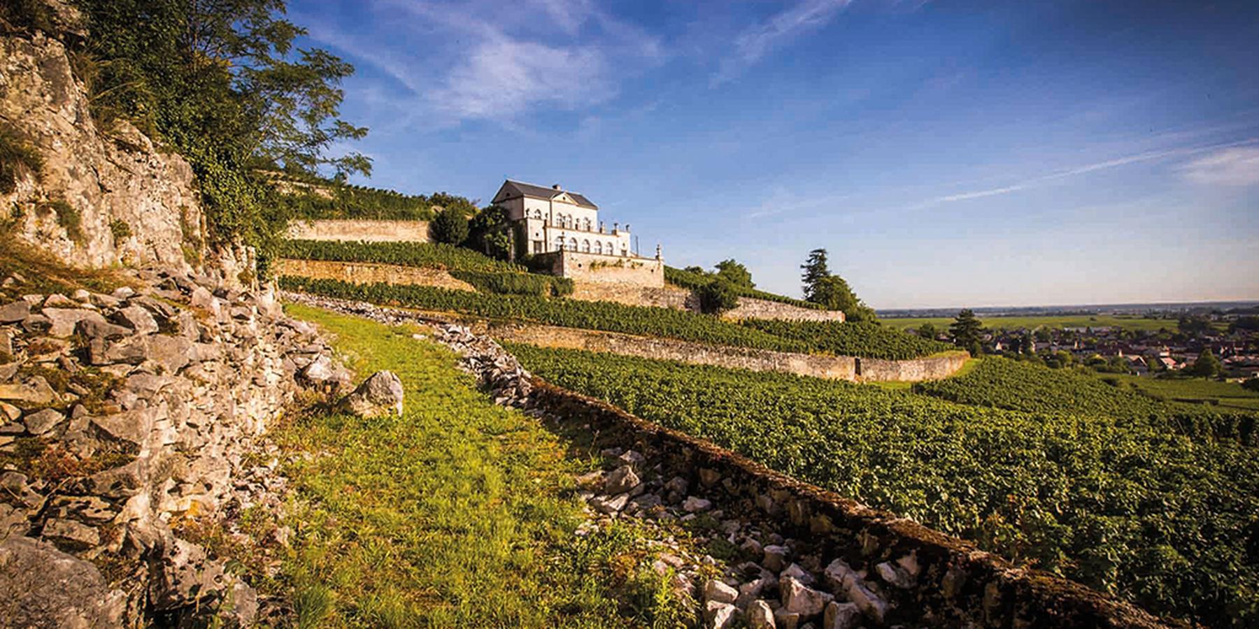 U'Wine Tour