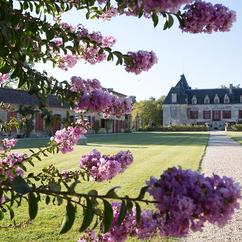 U'Wine Tour & Dîner