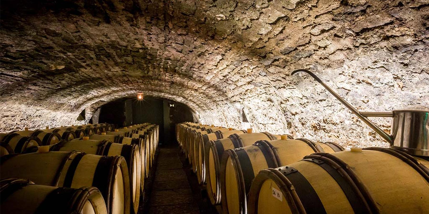 U'Wine Tour Burgundy