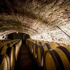 U'Wine Tour Burgundy