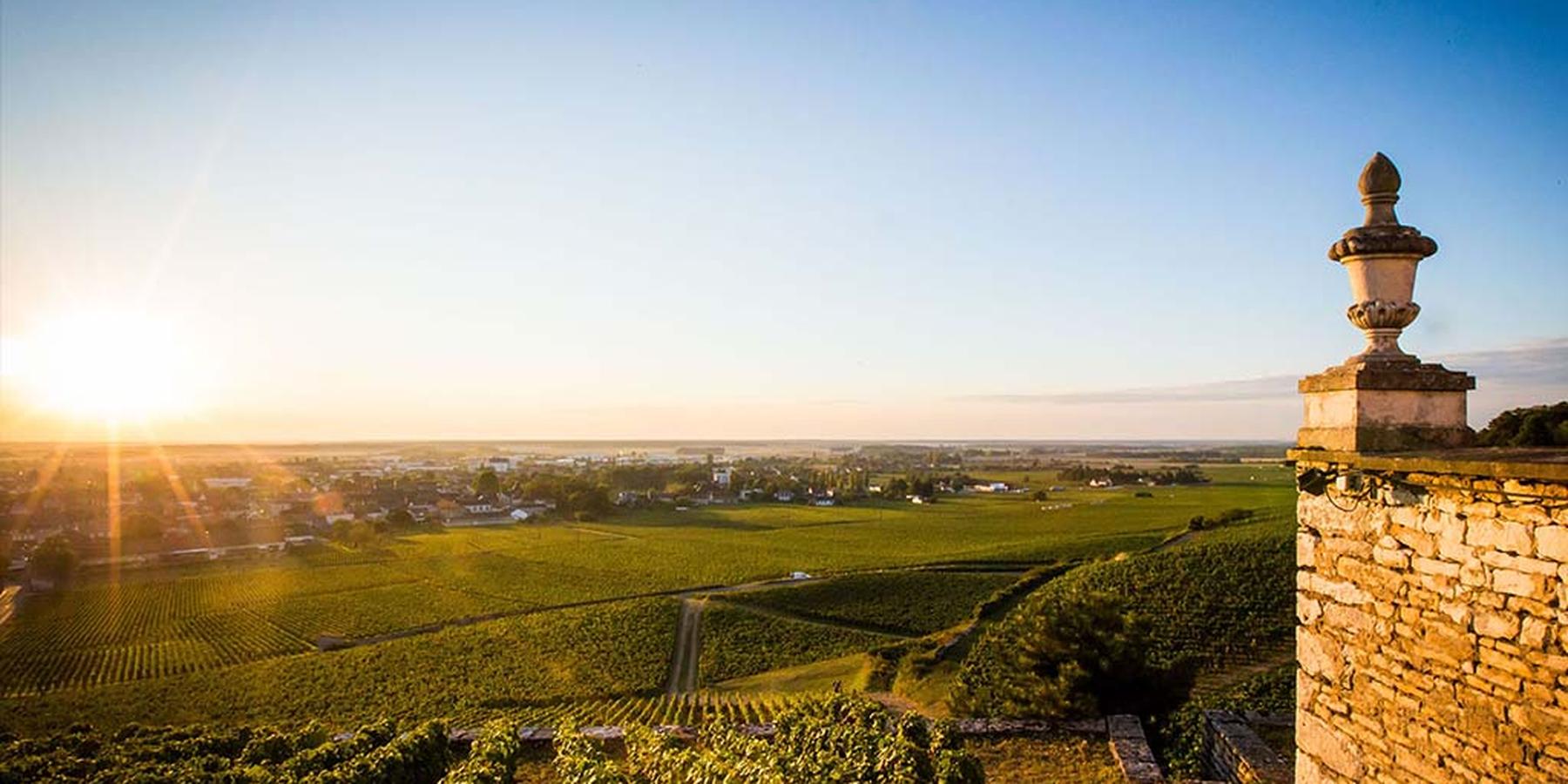 "Trip to Burgundy" Dinner