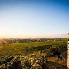 "Trip to Burgundy" Dinner