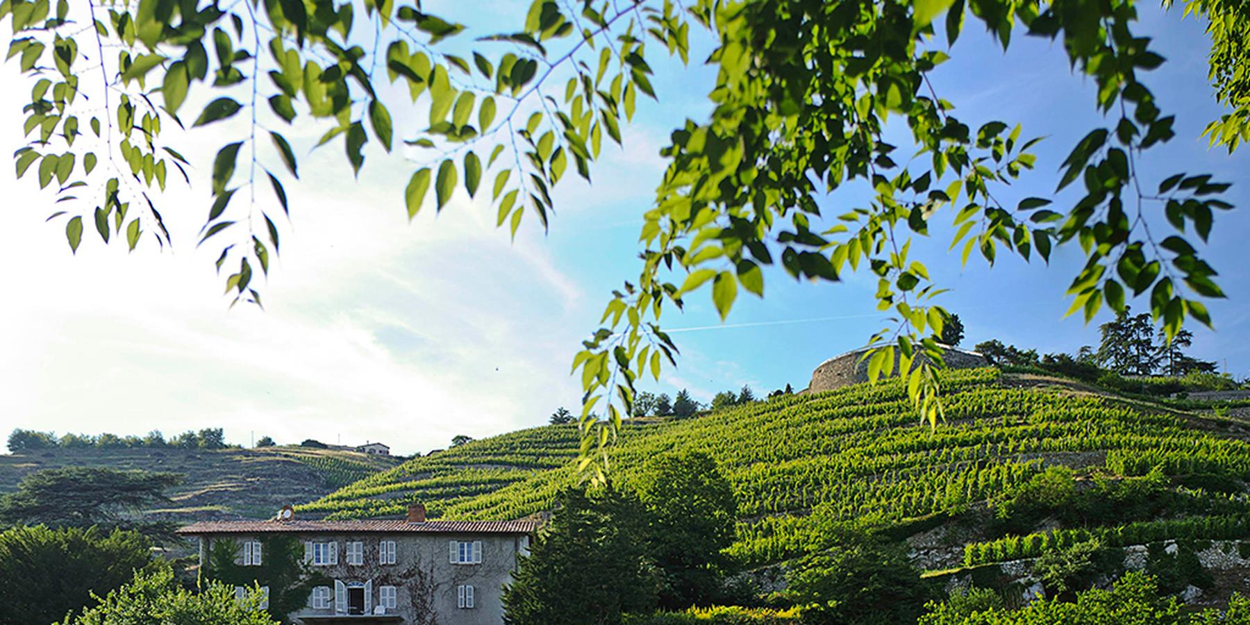 U'Wine Tour Rhône Valley