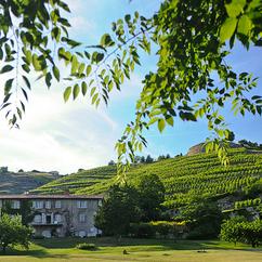 U'Wine Tour Rhône Valley