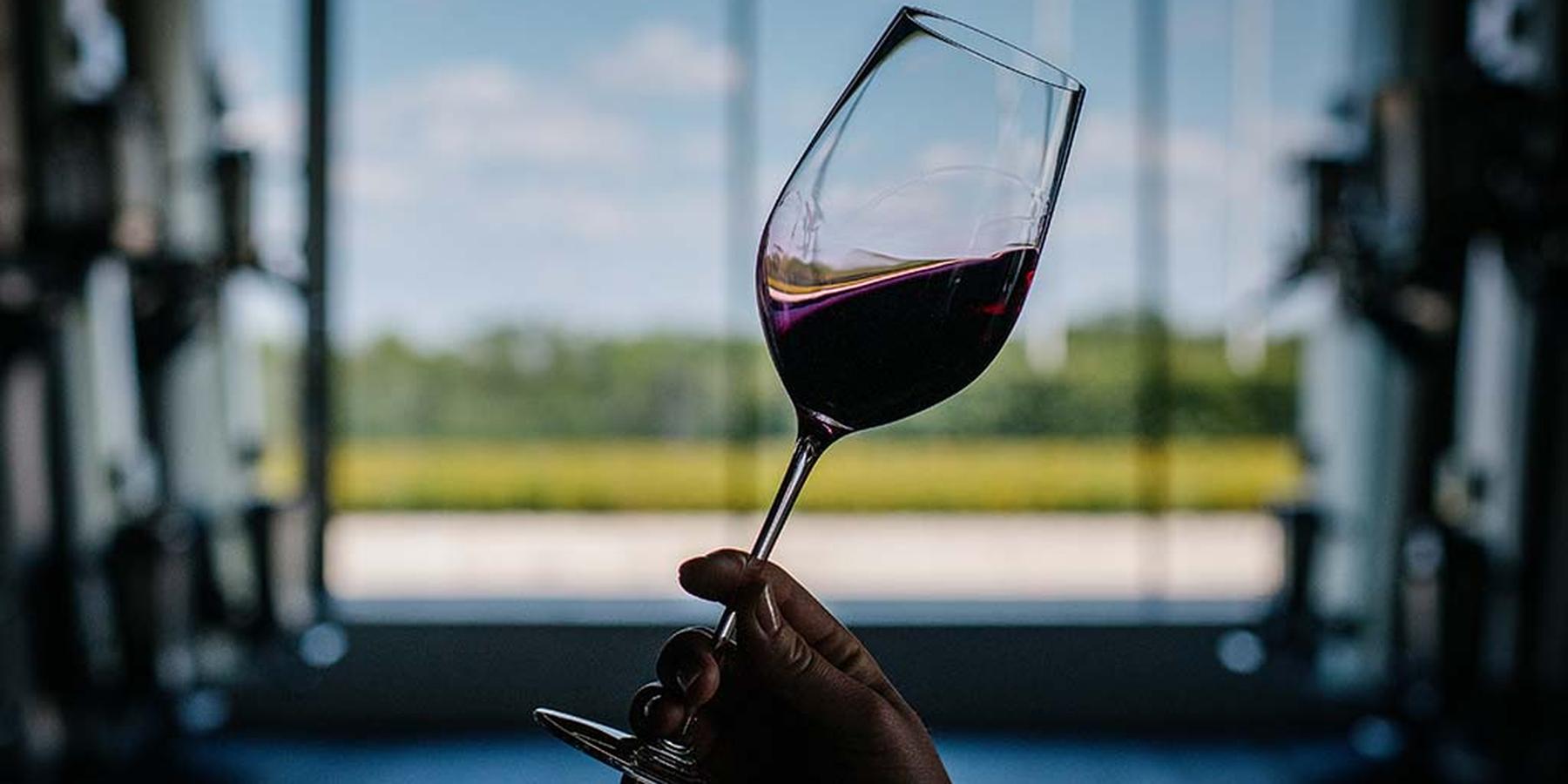 Afterwork "The Médoc from top to bottom"