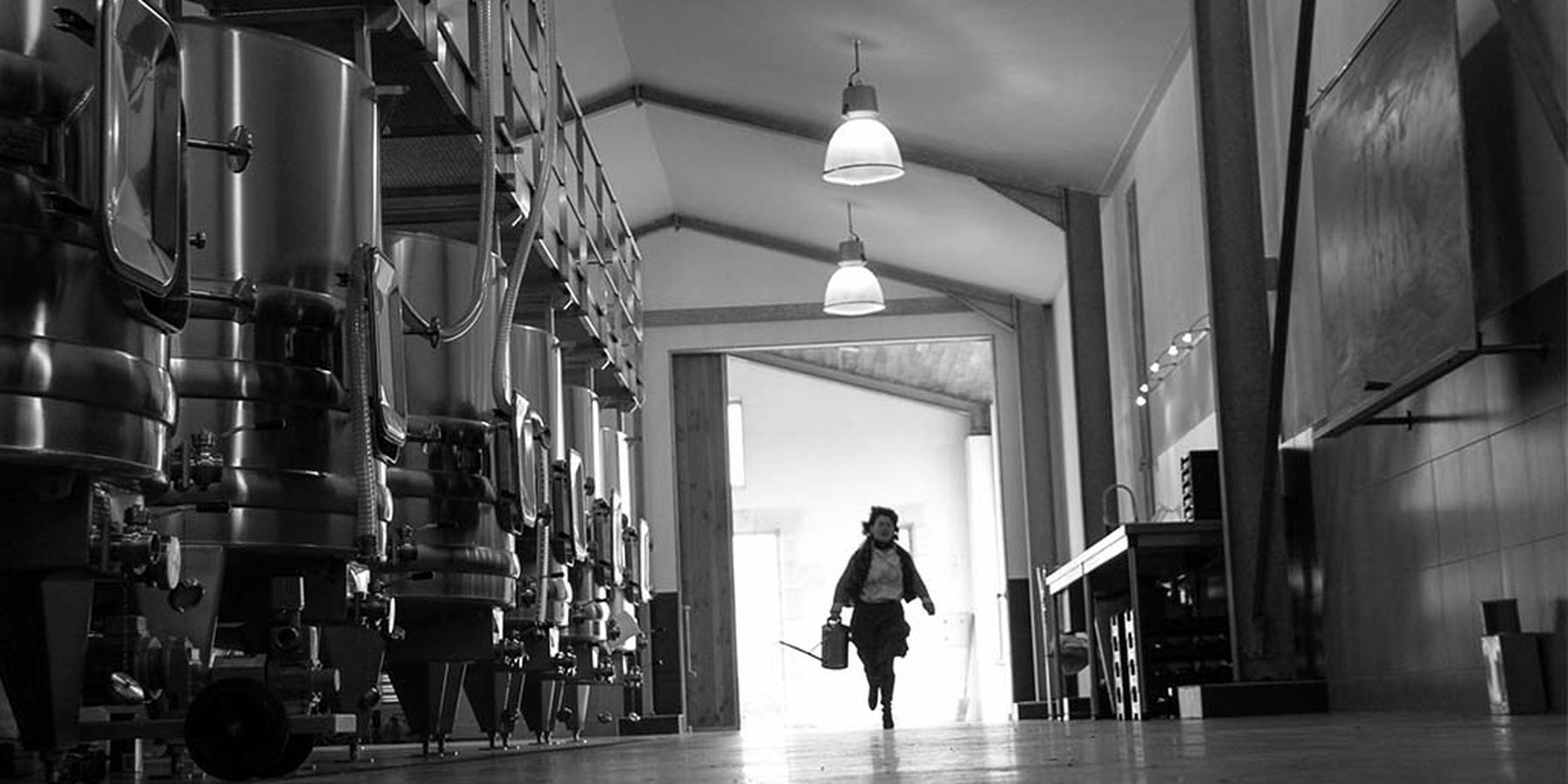 U'Wine Tour & Dinner