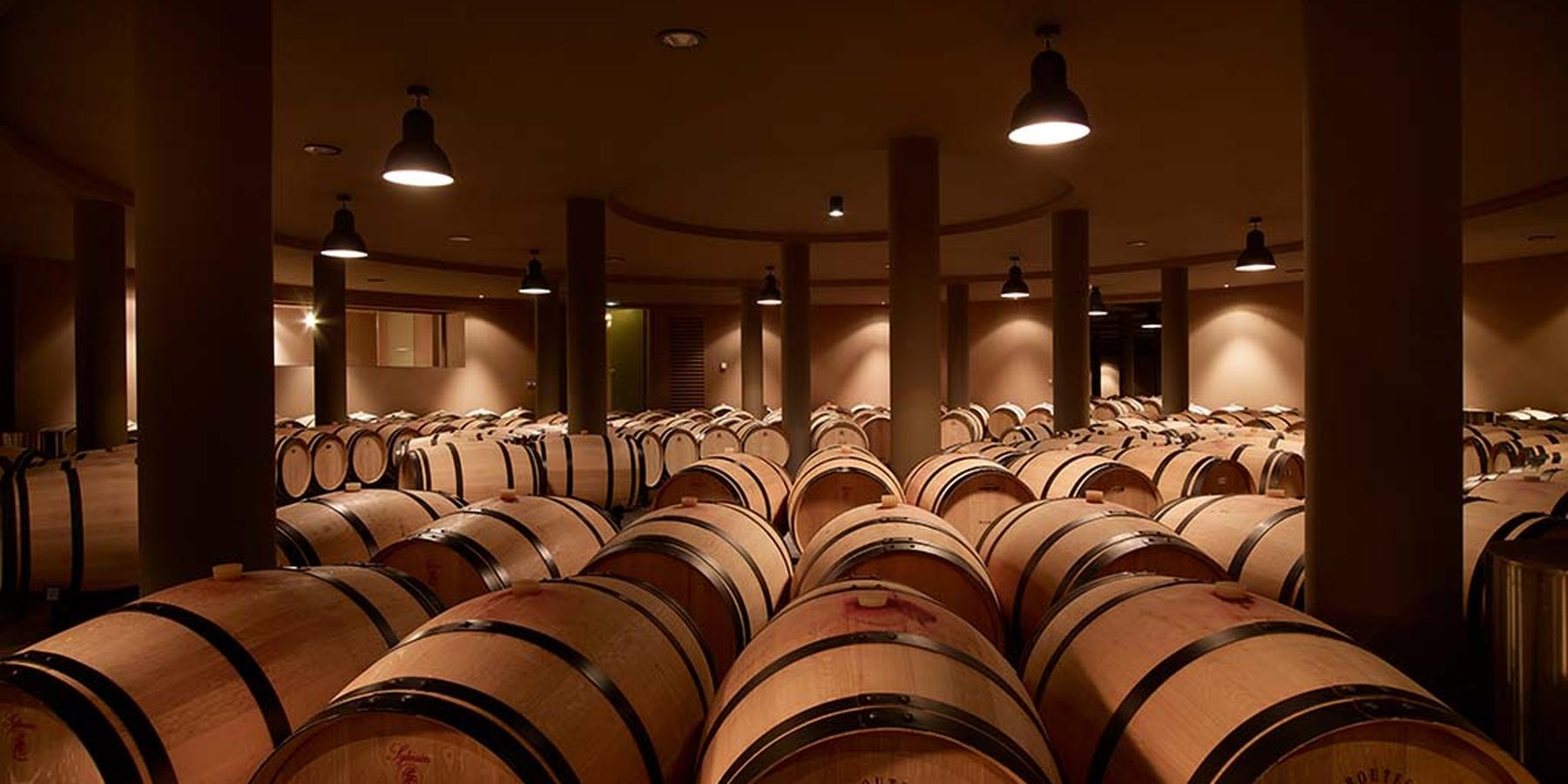 U'Wine Tour & Dinner