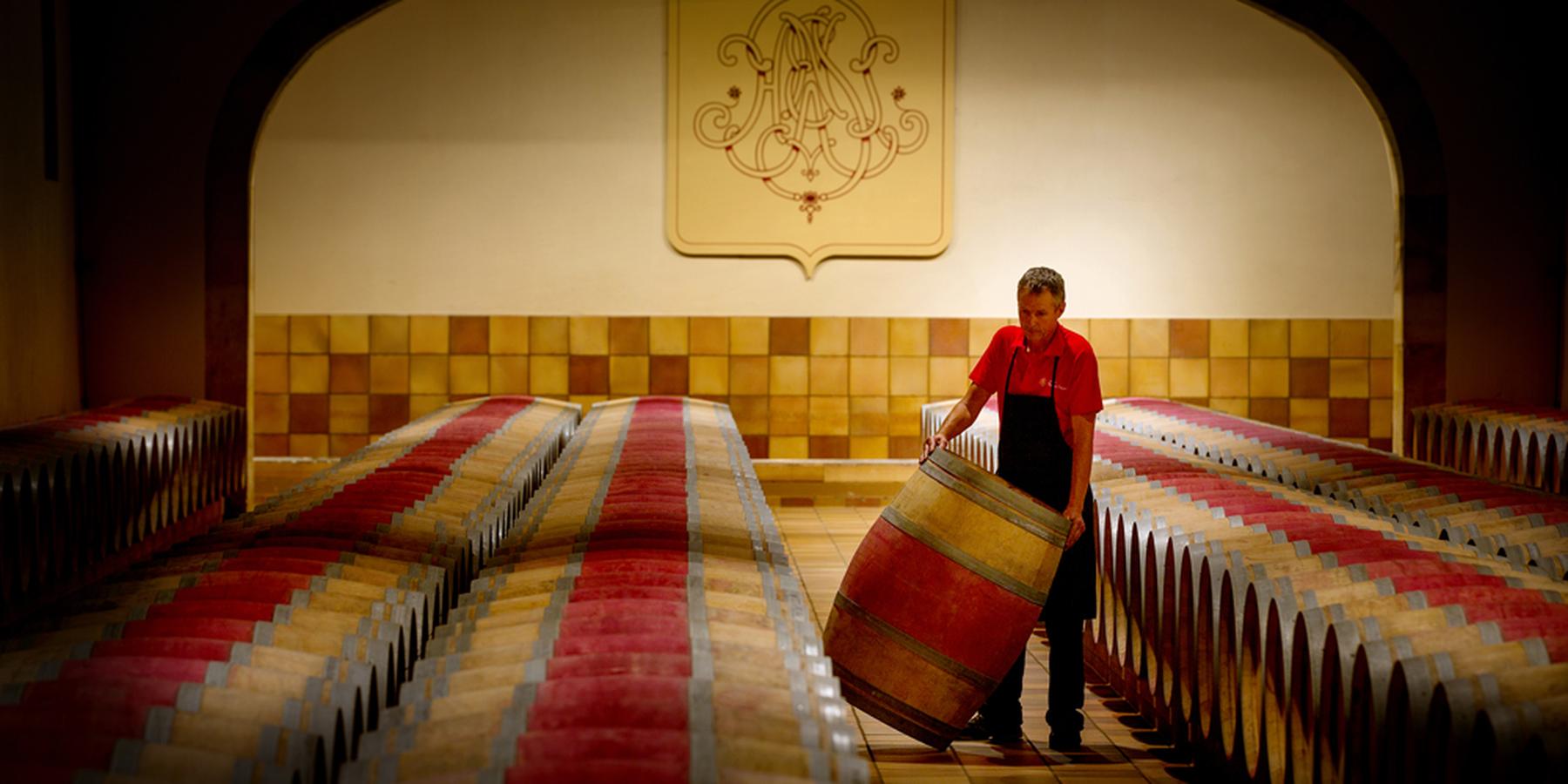 U'wine Tour Médoc with Christmas lunch