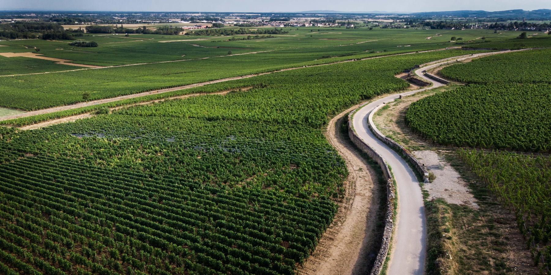 U'wine Tour Bourgogne - COMPLETE