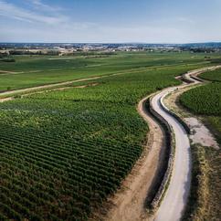 U'wine Tour Bourgogne - COMPLETE