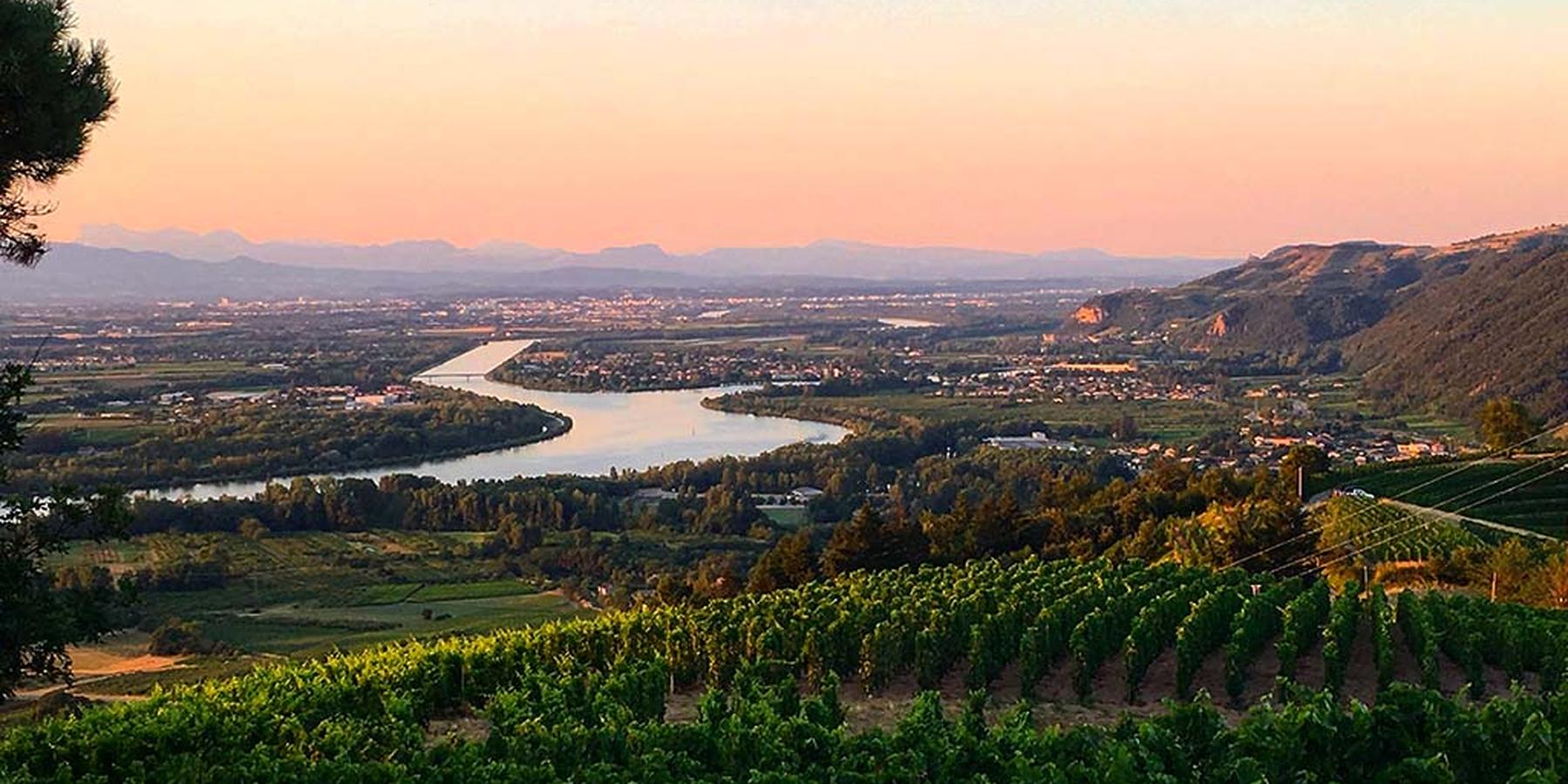 U'wine Tour - Vallée du Rhône