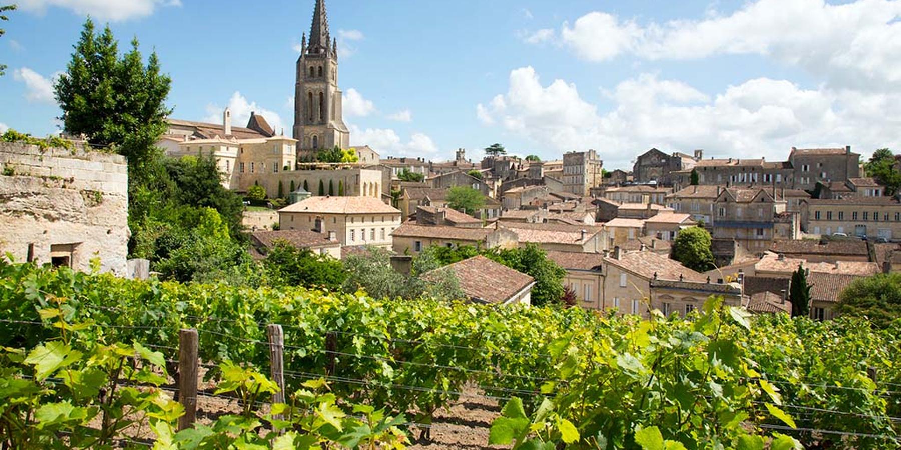 U'wine Tour - Saint-Emilion