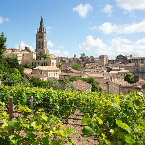 U'wine Tour - Saint-Emilion
