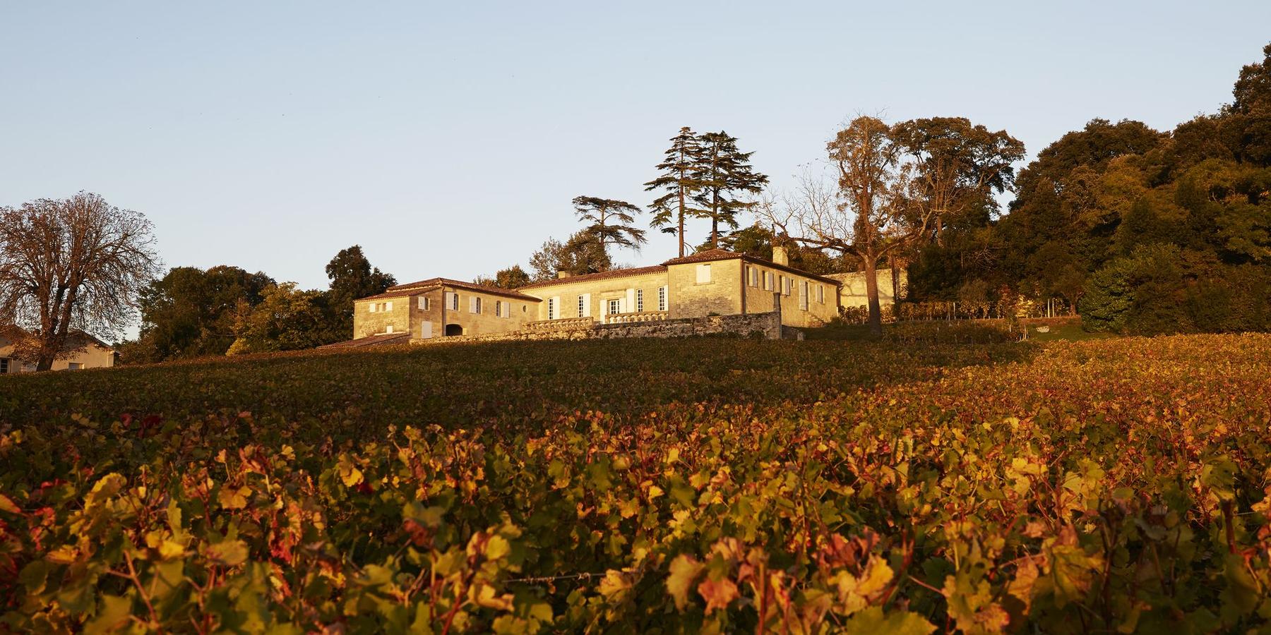 U'wine Tasting Château de Bellevue