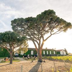 U'wine Tour Primeurs 2024 N°1